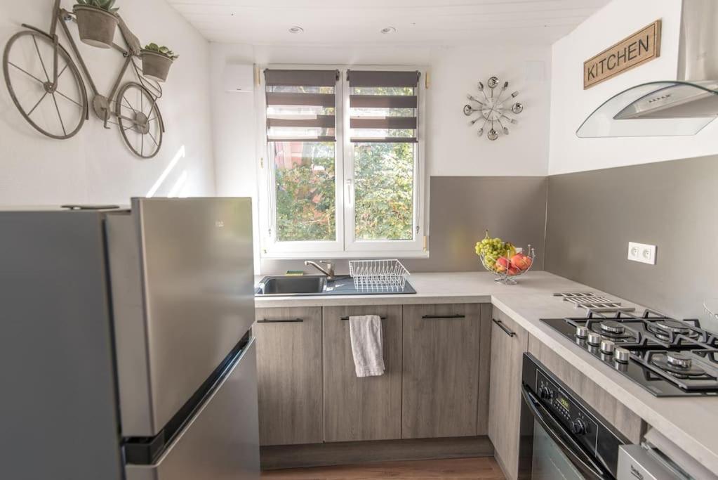 New L'Industr'Ill Au Coeur De L'Alsace Appartement Sélestat Buitenkant foto