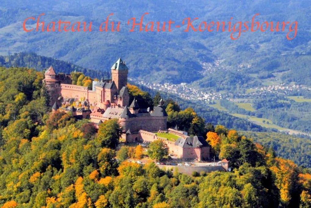 New L'Industr'Ill Au Coeur De L'Alsace Appartement Sélestat Buitenkant foto